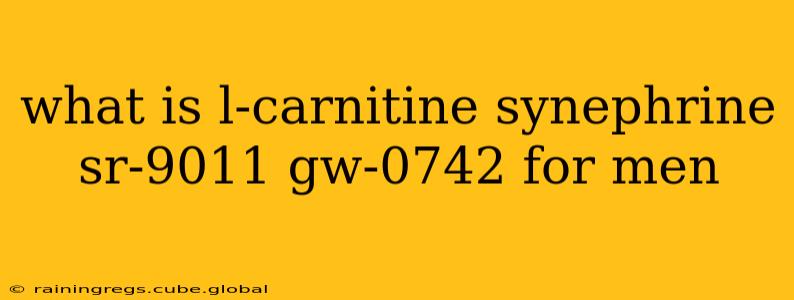what is l-carnitine synephrine sr-9011 gw-0742 for men