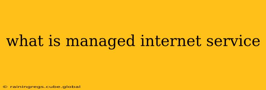 what is managed internet service