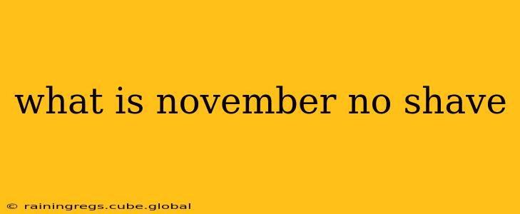 what is november no shave