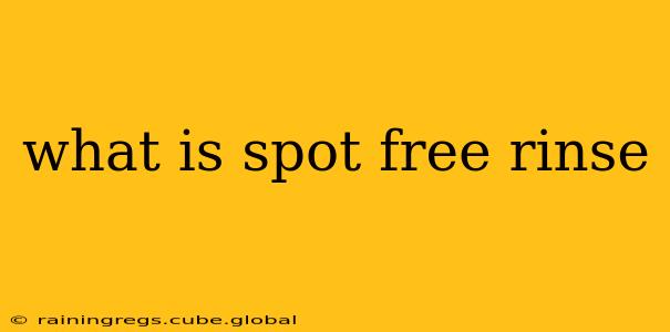 what is spot free rinse