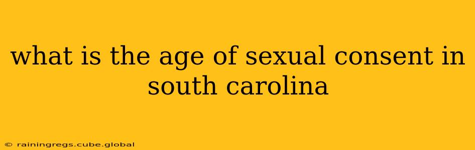 what is the age of sexual consent in south carolina