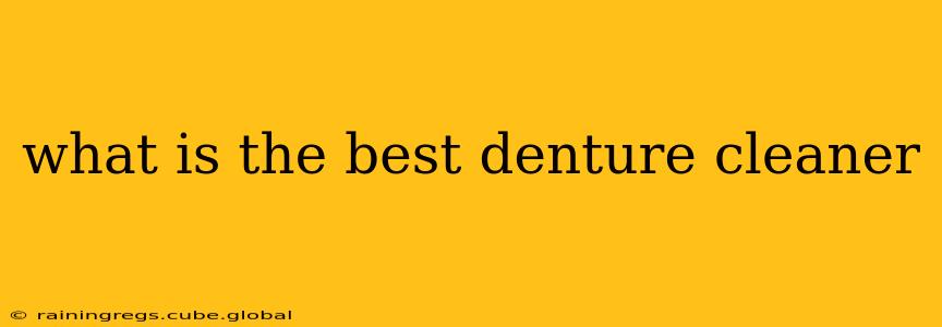what is the best denture cleaner