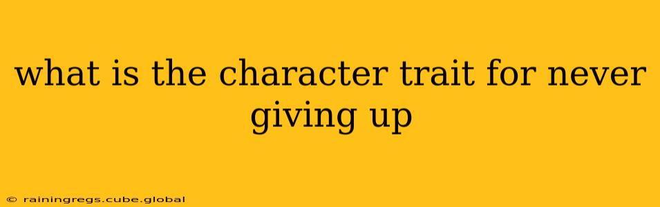 what is the character trait for never giving up