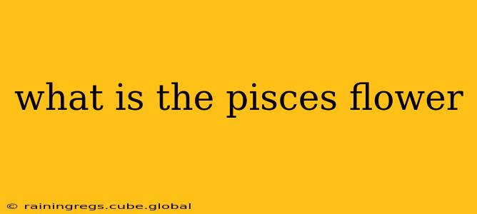 what is the pisces flower