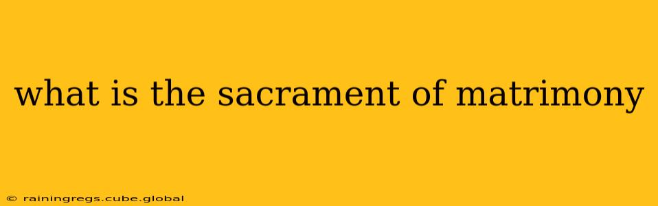 what is the sacrament of matrimony