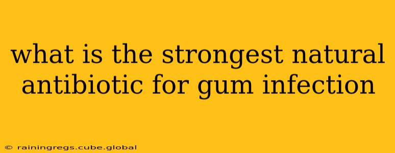 what is the strongest natural antibiotic for gum infection
