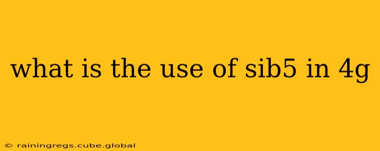 what is the use of sib5 in 4g
