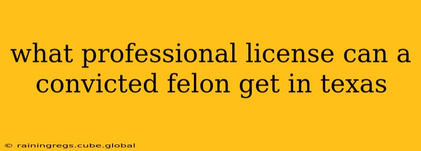 what professional license can a convicted felon get in texas