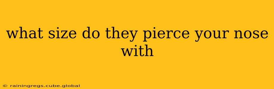 what size do they pierce your nose with