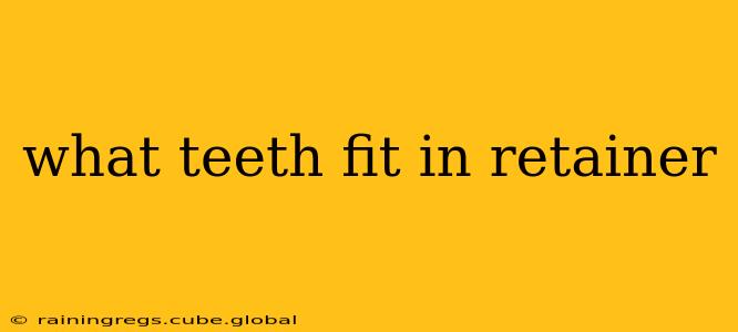 what teeth fit in retainer