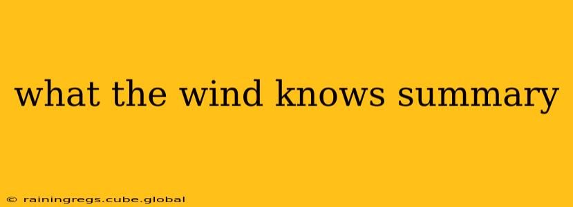 what the wind knows summary