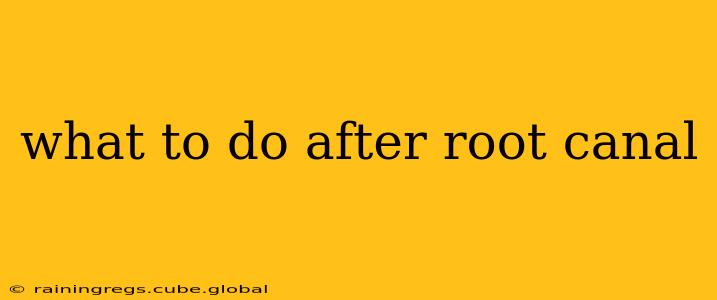 what to do after root canal
