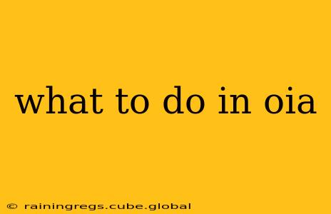what to do in oia