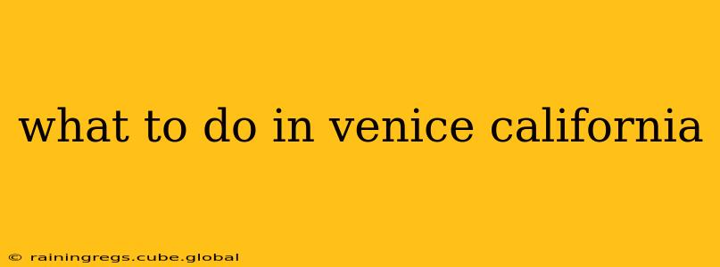 what to do in venice california