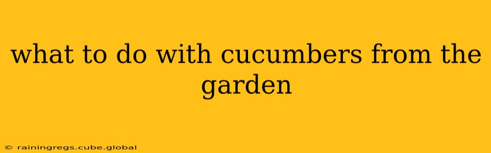 what to do with cucumbers from the garden
