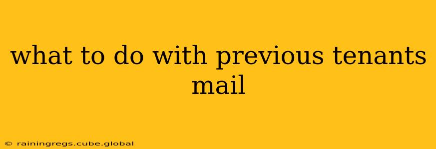 what to do with previous tenants mail