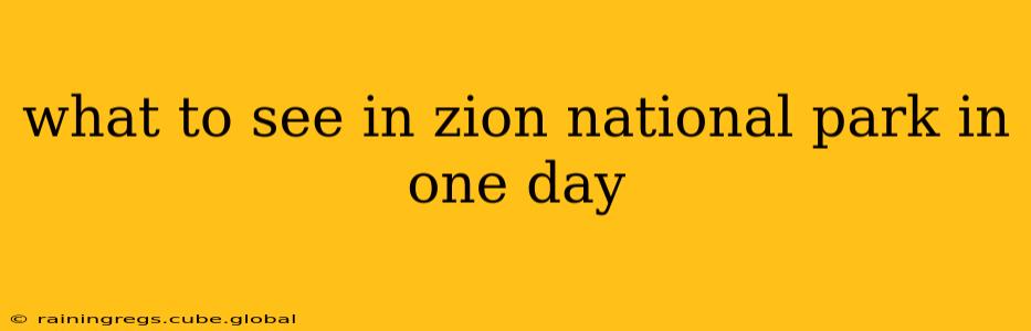what to see in zion national park in one day