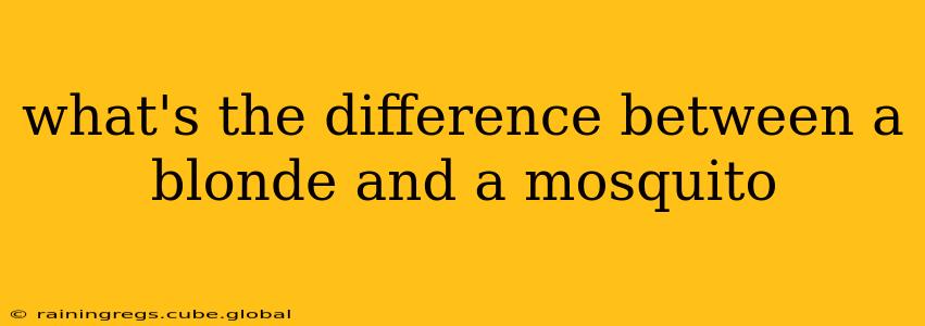 what's the difference between a blonde and a mosquito