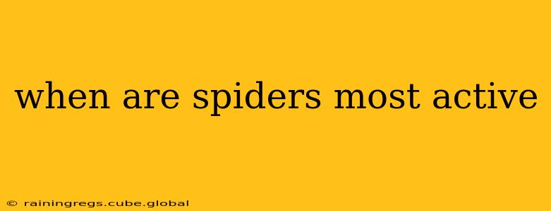 when are spiders most active
