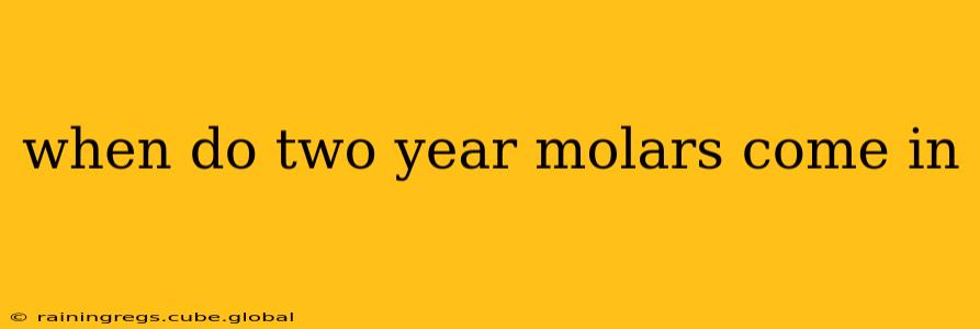 when do two year molars come in