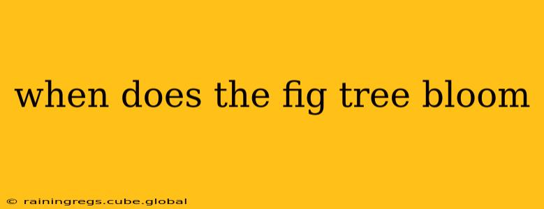 when does the fig tree bloom