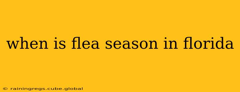 when is flea season in florida