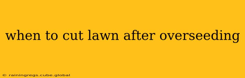 when to cut lawn after overseeding