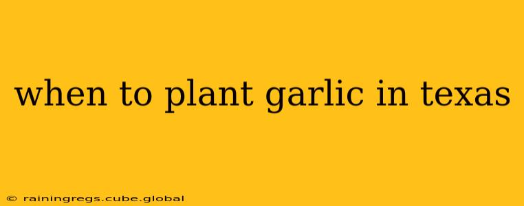 when to plant garlic in texas