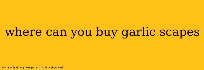 where can you buy garlic scapes