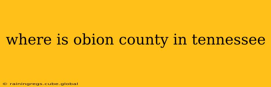 where is obion county in tennessee