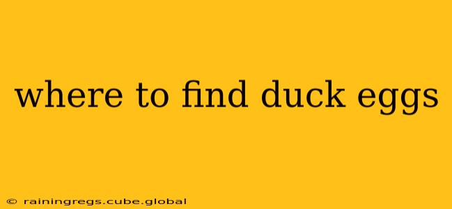 where to find duck eggs