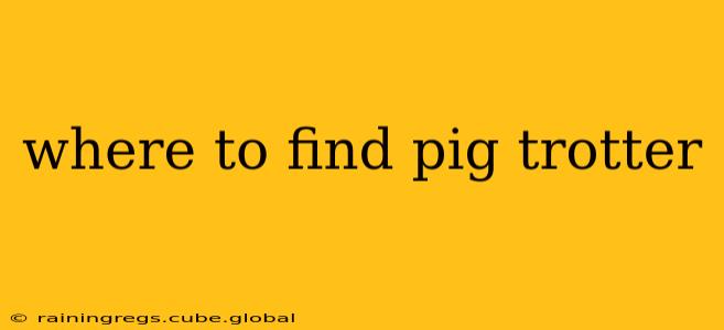 where to find pig trotter