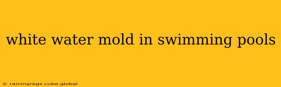 white water mold in swimming pools