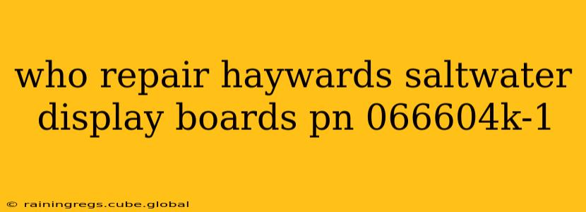 who repair haywards saltwater display boards pn 066604k-1