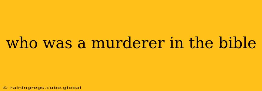 who was a murderer in the bible
