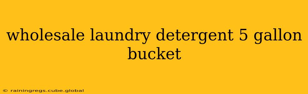wholesale laundry detergent 5 gallon bucket