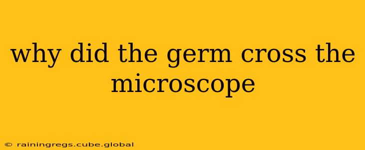 why did the germ cross the microscope