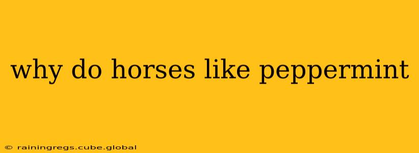 why do horses like peppermint
