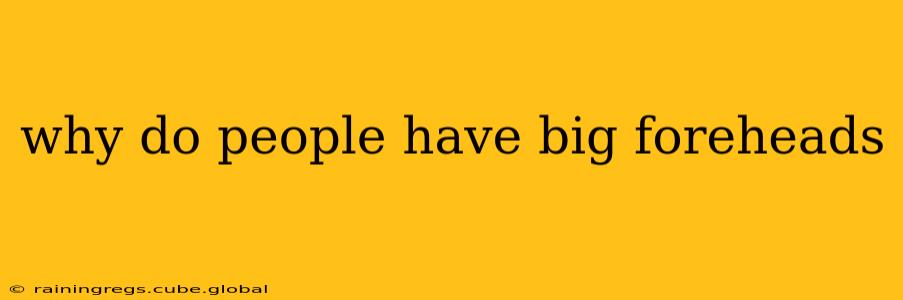 why do people have big foreheads