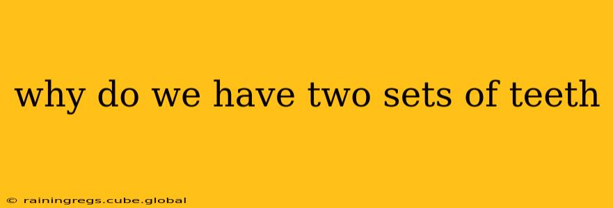 why do we have two sets of teeth