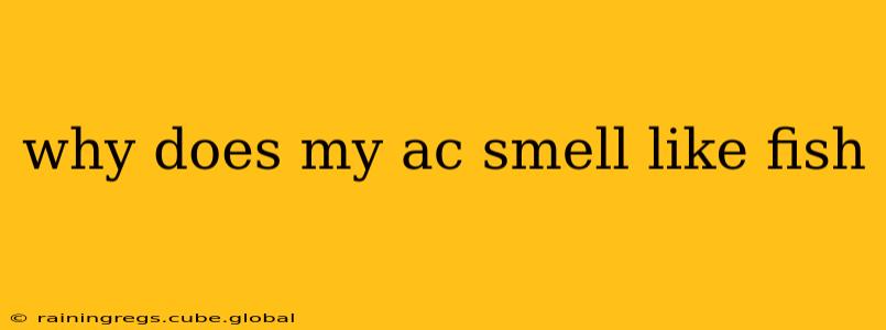 why does my ac smell like fish