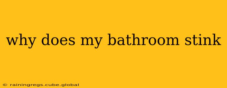 why does my bathroom stink