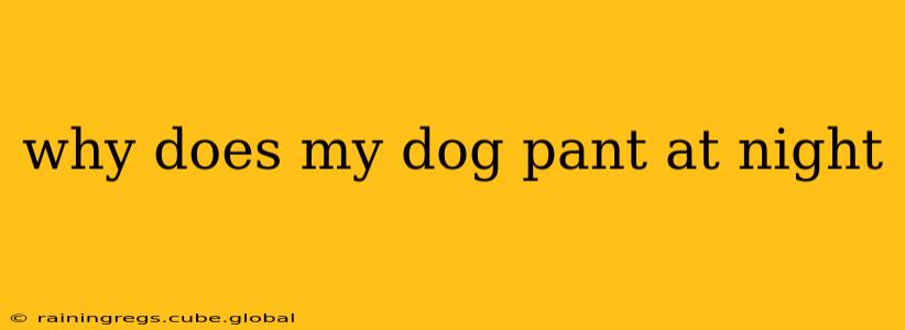 why does my dog pant at night