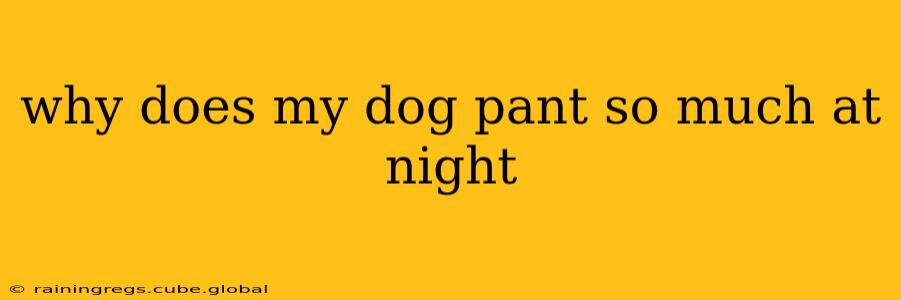 why does my dog pant so much at night