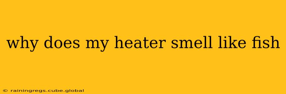 why does my heater smell like fish