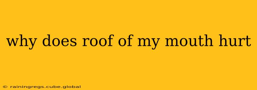 why does roof of my mouth hurt