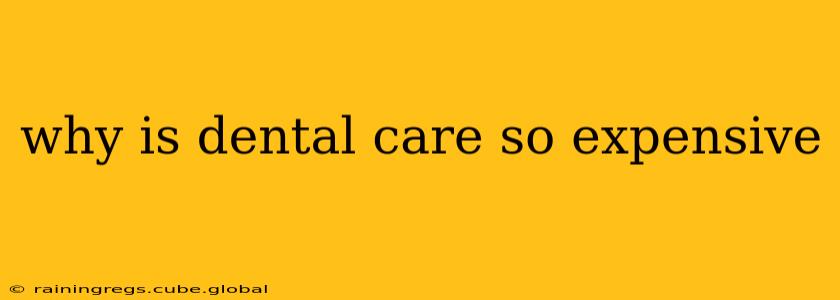 why is dental care so expensive