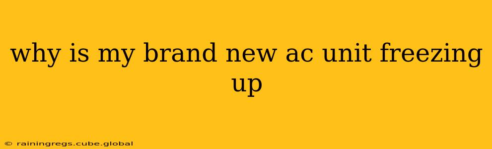 why is my brand new ac unit freezing up