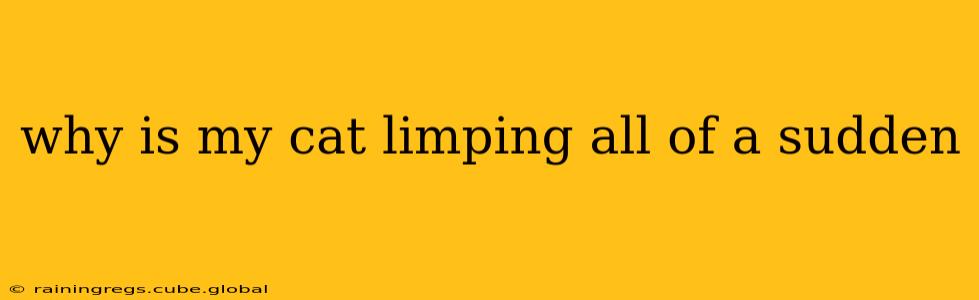 why is my cat limping all of a sudden