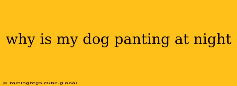 why is my dog panting at night